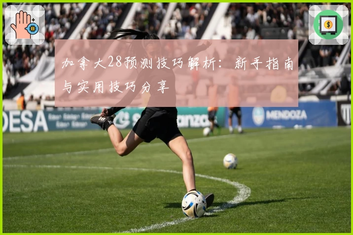 加拿大28预测技巧解析：新手指南与实用技巧分享