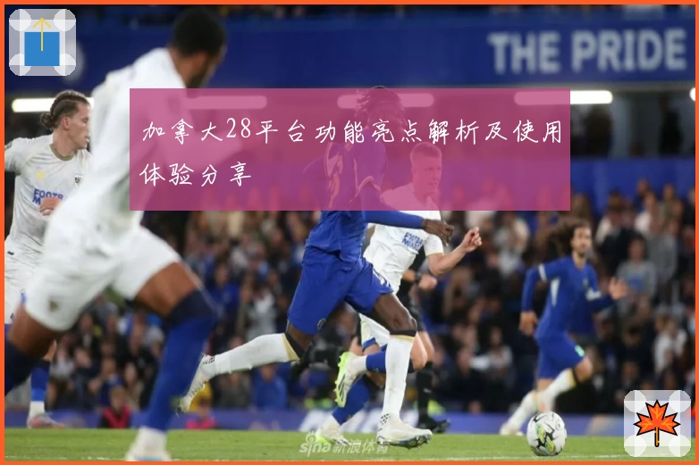 加拿大28平台功能亮点解析及使用体验分享