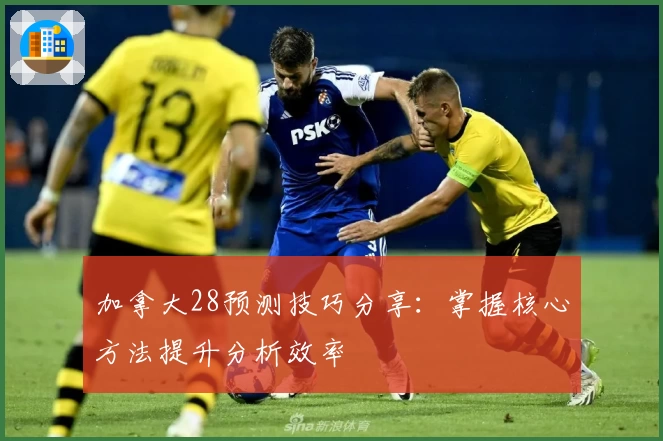 加拿大28预测技巧分享：掌握核心方法提升分析效率