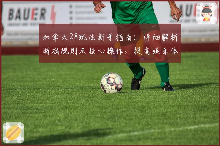 加拿大28玩法新手指南：详细解析游戏规则及核心操作，提高娱乐体验