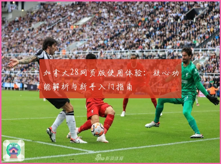 加拿大28网页版使用体验：核心功能解析与新手入门指南