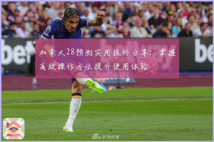加拿大28预测实用技巧分享：掌握高效操作方法提升使用体验