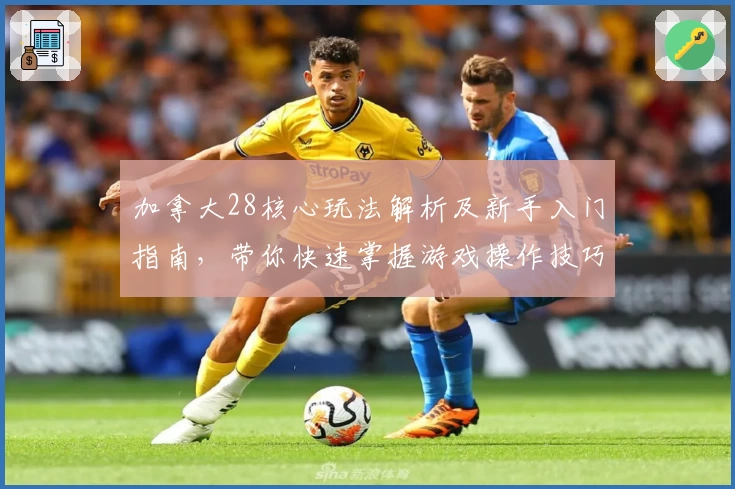 加拿大28核心玩法解析及新手入门指南，带你快速掌握游戏操作技巧