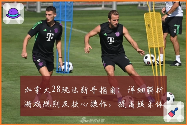 加拿大28玩法新手指南：详细解析游戏规则及核心操作，提高娱乐体验