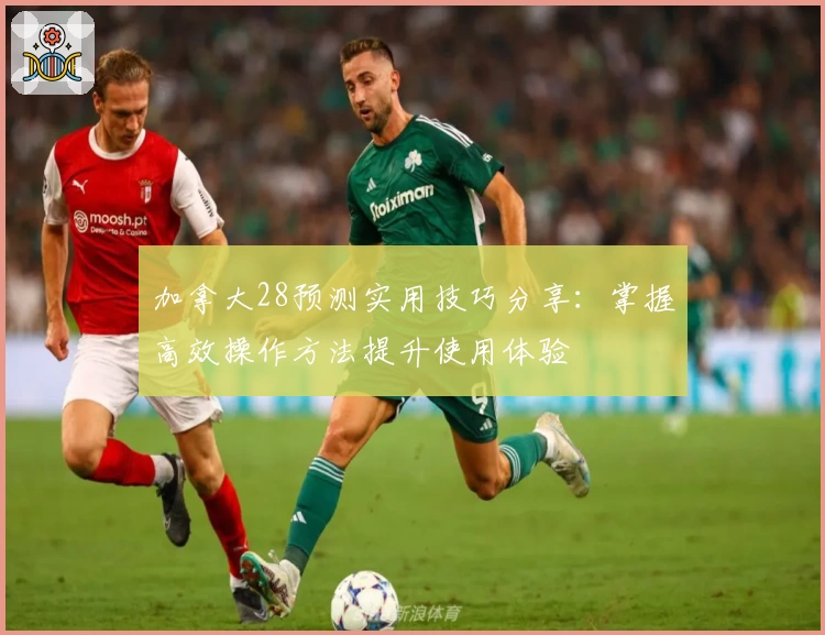 加拿大28预测实用技巧分享：掌握高效操作方法提升使用体验