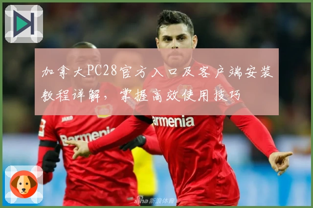 加拿大PC28官方入口及客户端安装教程详解，掌握高效使用技巧