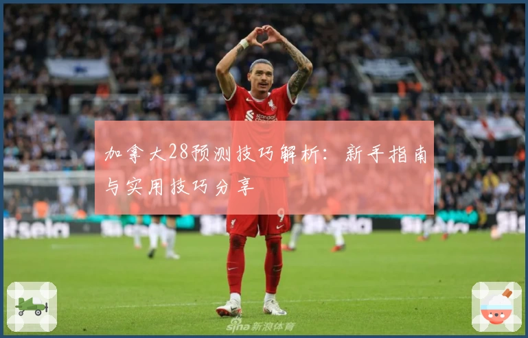 加拿大28预测技巧解析:新手指南与实用技巧分享